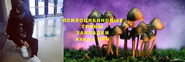 эйфоретик Нязепетровск