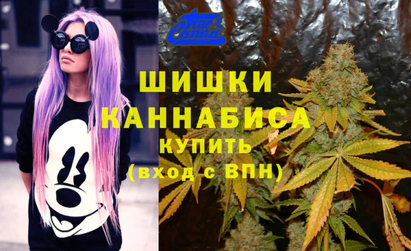 MESCALINE Няндома