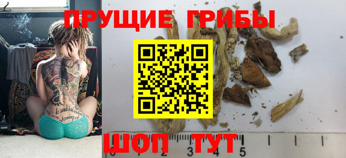 Псилоцибиновые грибы прущие грибы  Псилоцибиновые грибы MAGIC MUSHROOMS  Барнаул 