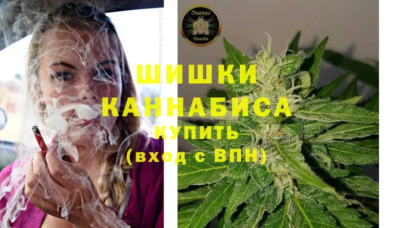 Бошки марихуана сатива  Барнаул 